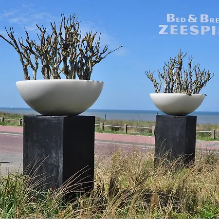 Zeespiegel