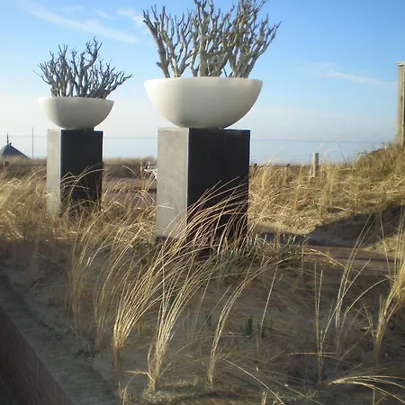 Bed & Breakfast Zeespiegel 4*