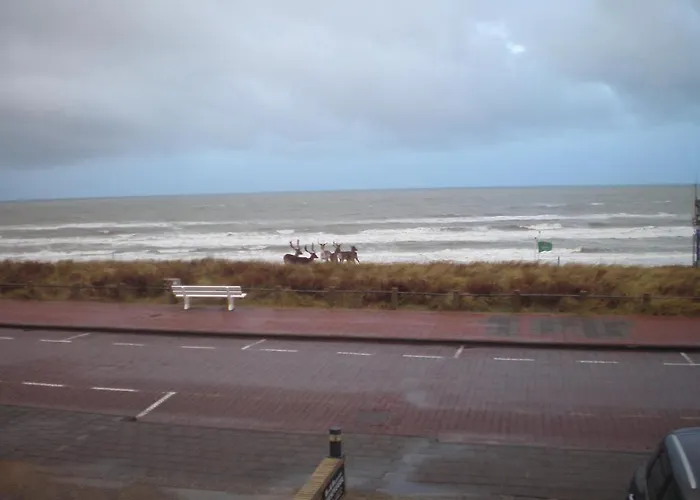 Bed and breakfast Zeespiegel 4*